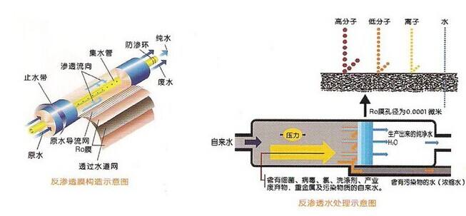 中小型工業(yè)反滲透純水設備